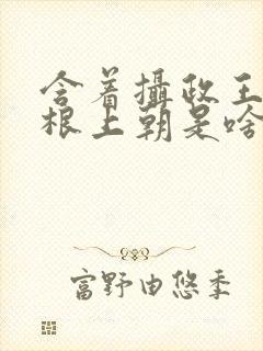 含着摄政王的紫根上朝是啥小说