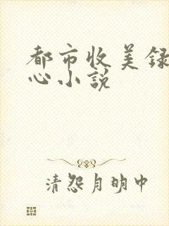 都市收美录宁素心小说