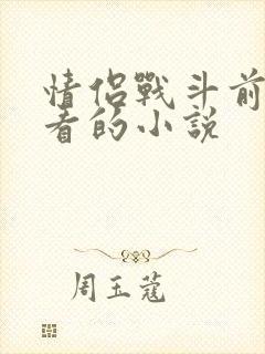 情侣战斗前适合看的小说