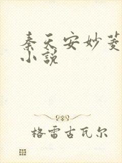 秦天安妙菱修仙小说