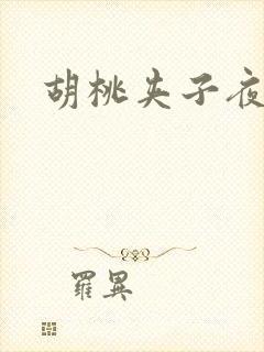 胡桃夹子夜未眠