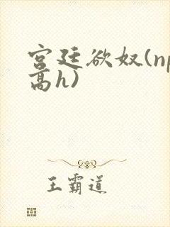 宫廷欲奴(np高h)