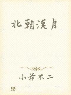 北朝汉月