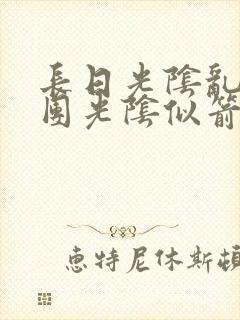 长日光阴乱作一团光阴似箭必读