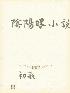 阴阳眼小说