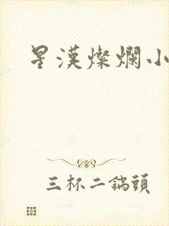 星汉灿烂小说
