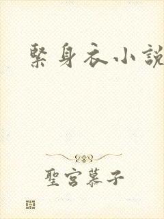 紧身衣小说