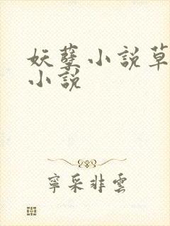 妖孽小说草莓酱小说