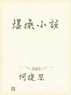 爆操小说