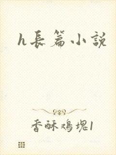 h长篇小说