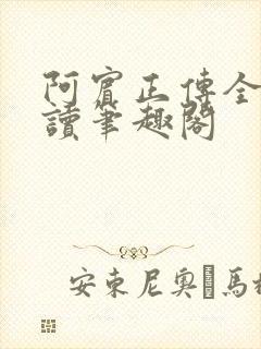 阿宾正传全文阅读笔趣阁