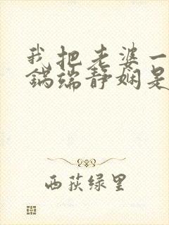 我把老婆一家一锅端静娴是什么书