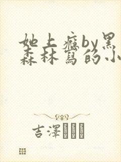 她上瘾by黑暗森林写的小说免费阅读无弹窗