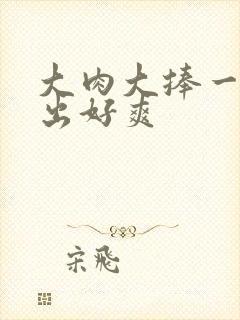 大肉大捧一进一出好爽