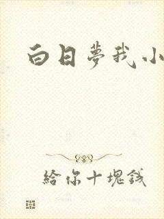白日梦我小说