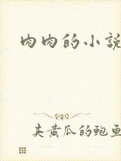 肉肉的小说