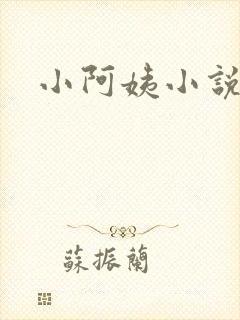 小阿姨小说