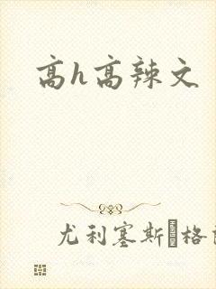 高h高辣文
