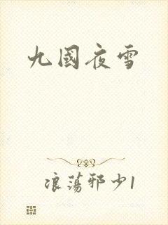 九国夜雪