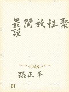 最开放性聚会小说