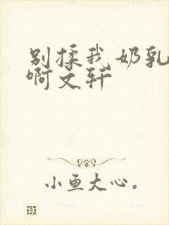 别揉我奶乳嗯～啊文轩