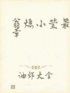 翁熄小莹最新节章