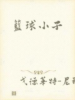 篮球小子