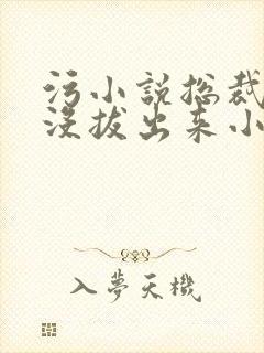 污小说总裁整夜没拔出来小说在线阅读