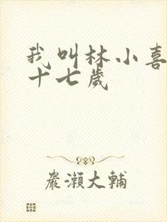 我叫林小喜今年十七岁