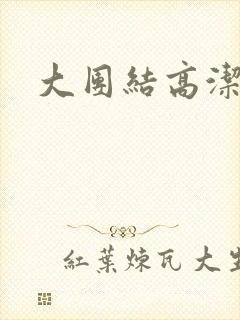 大团结高洁