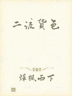 二流货色
