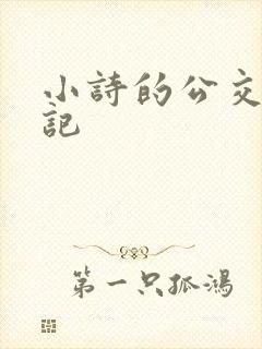 小诗的公交车日记