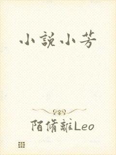 小说小芳