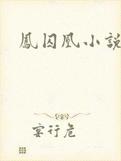 凤囚凰小说
