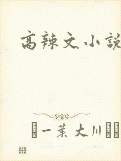 高辣文小说