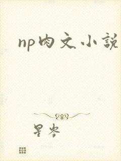 np肉文小说