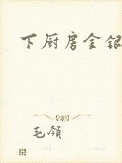 下厨房金银花露