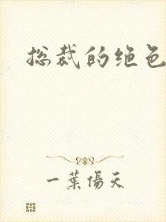 总裁的绝色宠妻