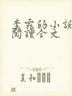 李霖的小说免费阅读全文