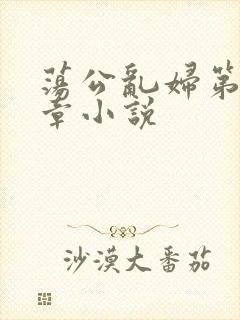 荡公乱妇第51章小说