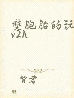 双胞胎的玩具1v2h