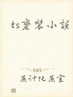 ts变装小说