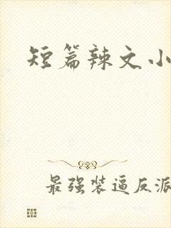 短篇辣文小说
