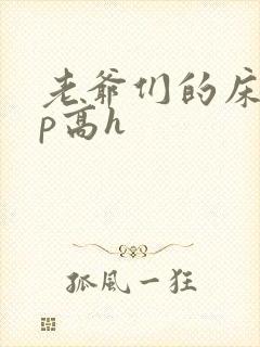 老爷们的床奴np高h