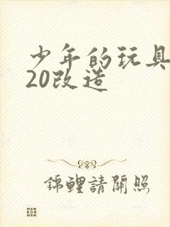 少年的玩具1一20改造