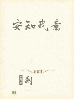 安知我意