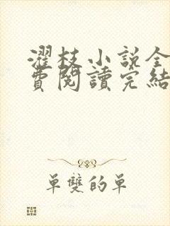 濯枝小说全文免费阅读完结