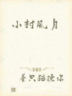 小村风月