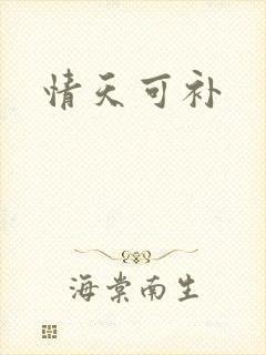 情天可补
