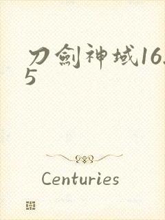 刀剑神域16.5